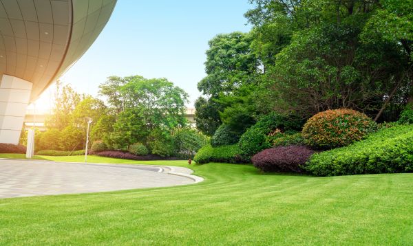 Commercial Shrub Trimming in Redding