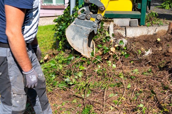 Hedge Removal Service in Redding