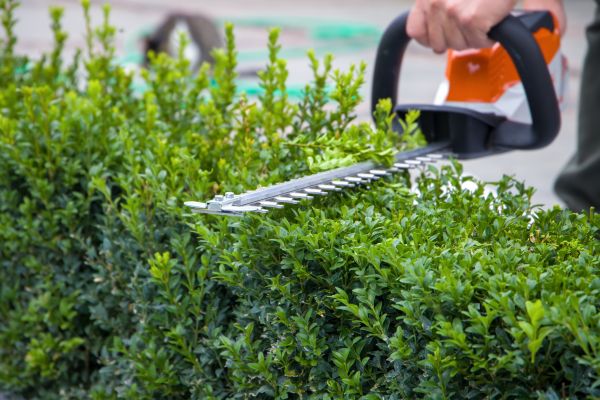 Hedge Shearing in Redding