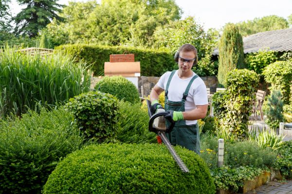Shrubs Trimming in Redding