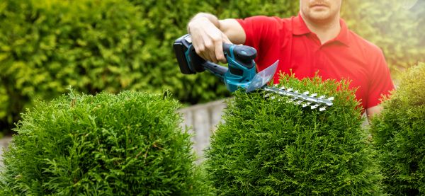 Cost of Hedge Shaping Service in Redding